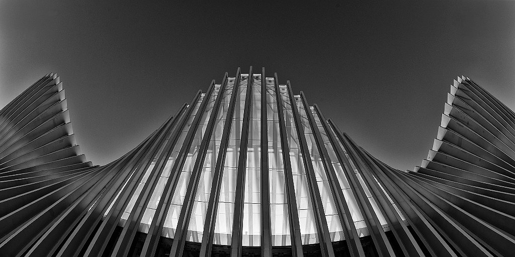 PETTI LUCIANA-CALATRAVA.jpg